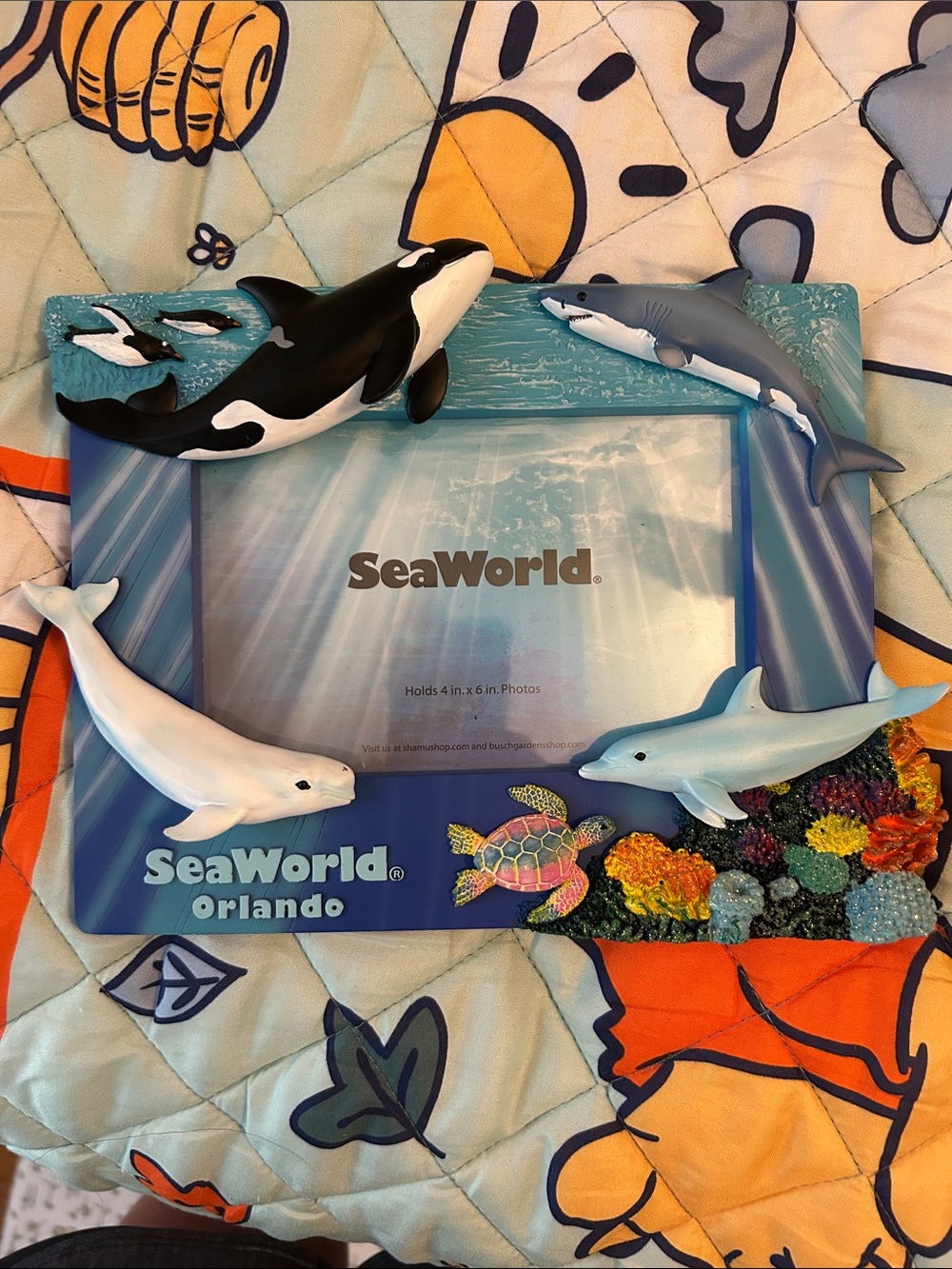 SeaWorld Orlando Ocean Animals 4x6 Picture Frame - Blue